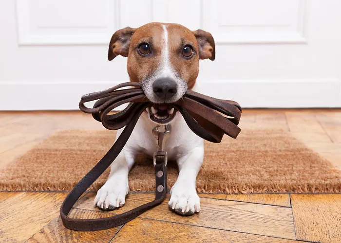 Haus Am Sonnenhang By Schladming-appartements Apartment Schladming